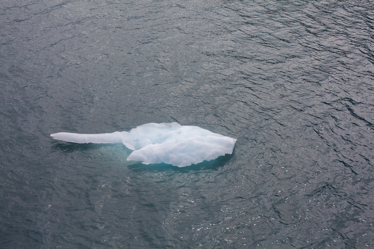 photograph of a piece of glacier ice in turquoise water